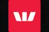 Visa payment icon